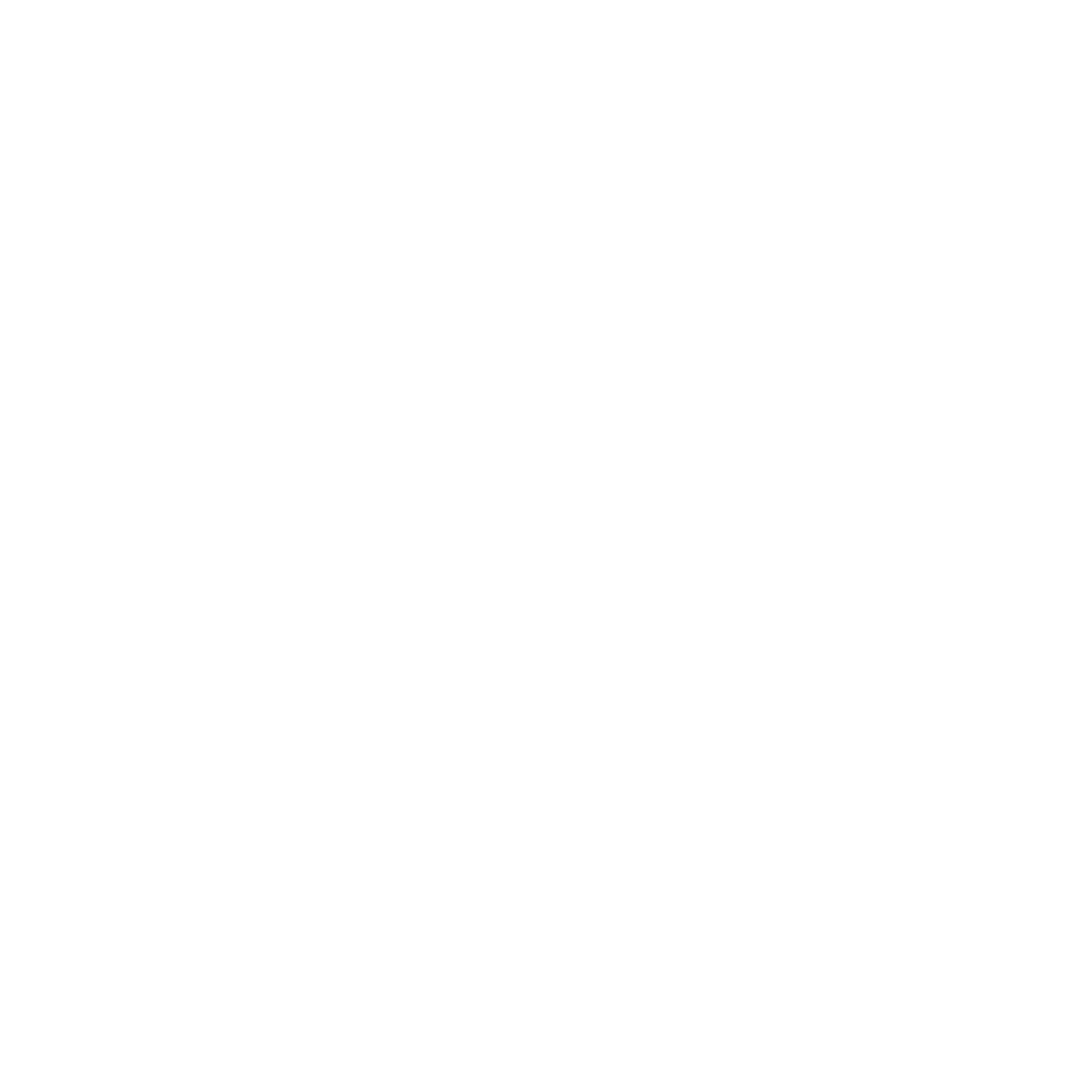 Neostella Logo