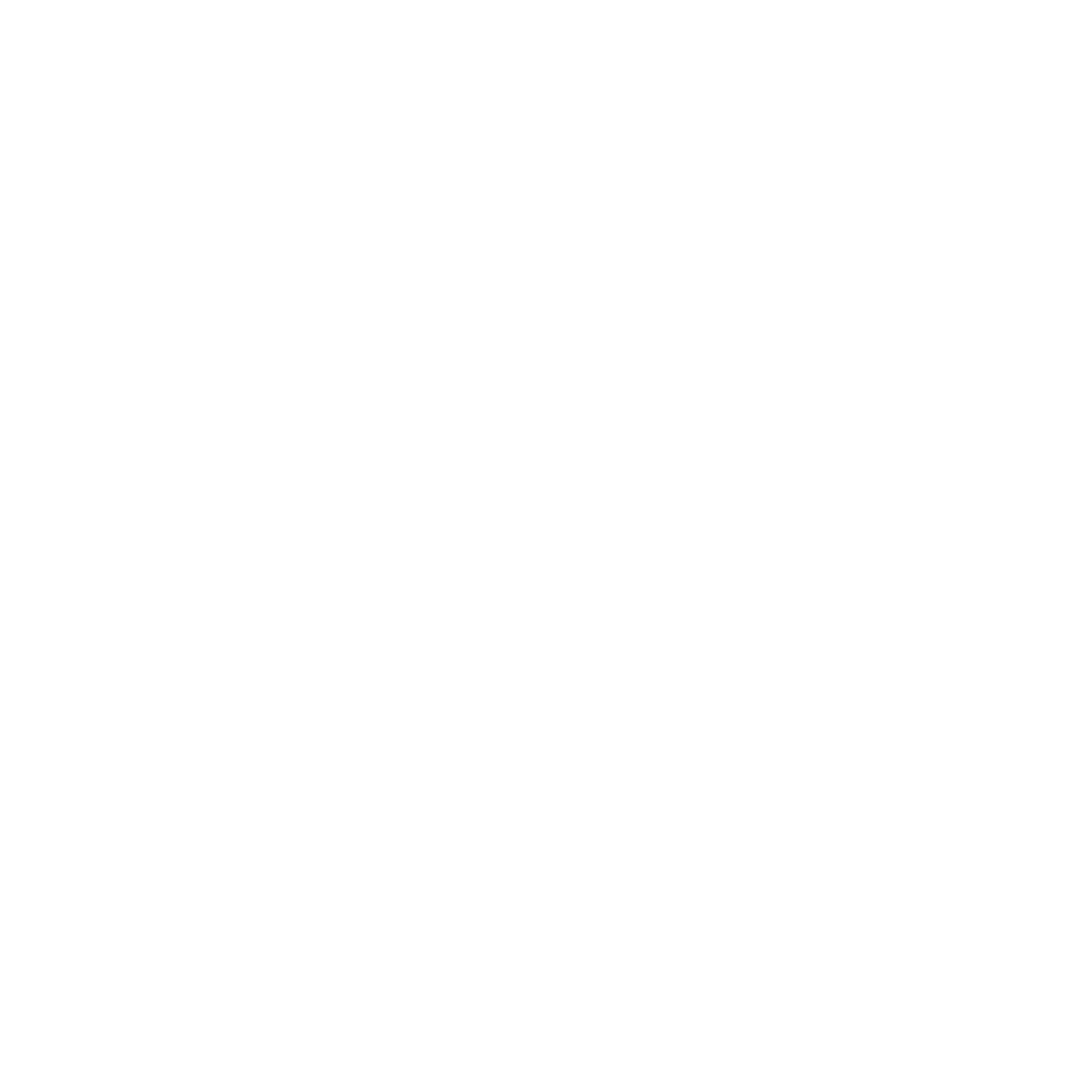USA Express logo